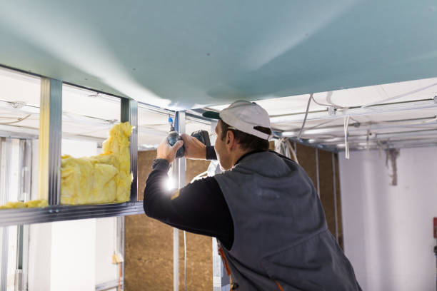 Best Wall Insulation Installation  in Third Lake, IL