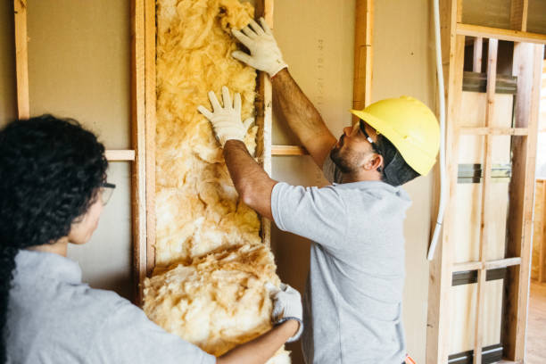 Best Basement Insulation  in Third Lake, IL